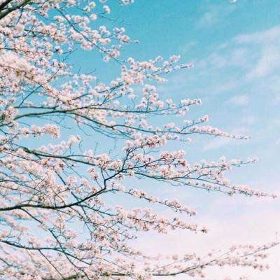 万博全站(ManBetX)